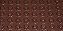 ndm_dan_drenh15