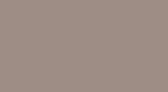 Color Gris Tórtora
