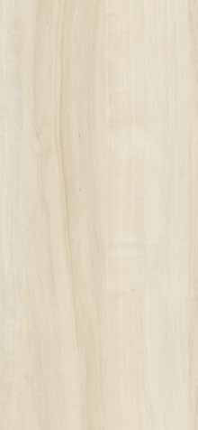 Maple Bergen